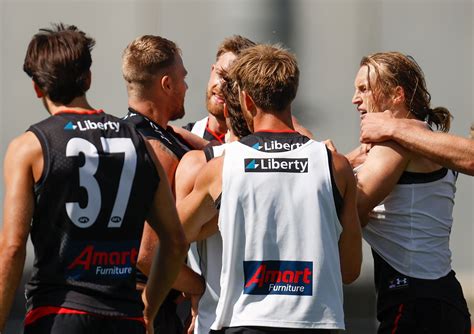 sen news afl|Latest news from 1116 SEN.